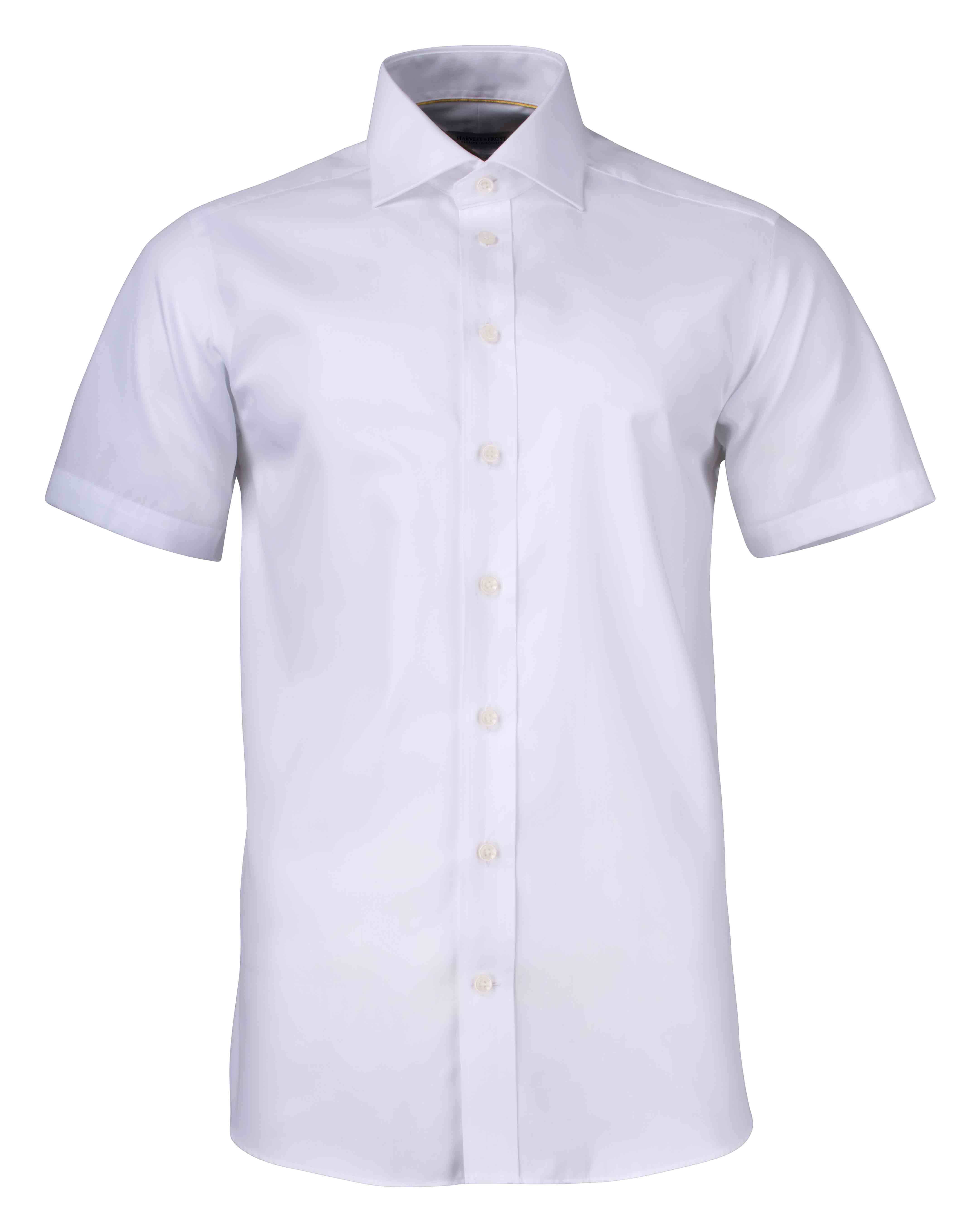 Yellow Bow 50 S/S Regular Vit